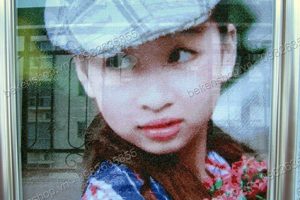 Giới thiệu chung